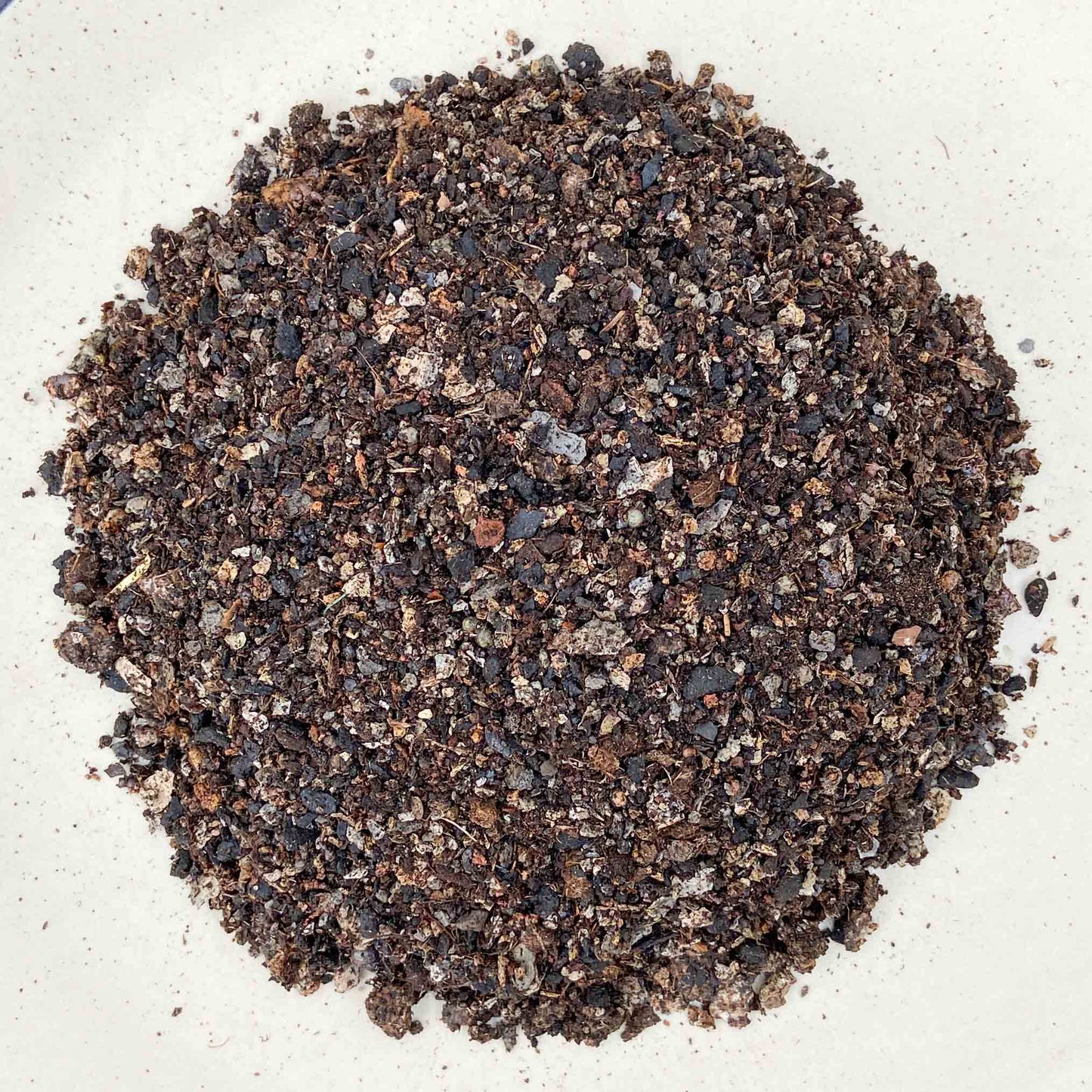 Cactus & Succulents Potting Mix
