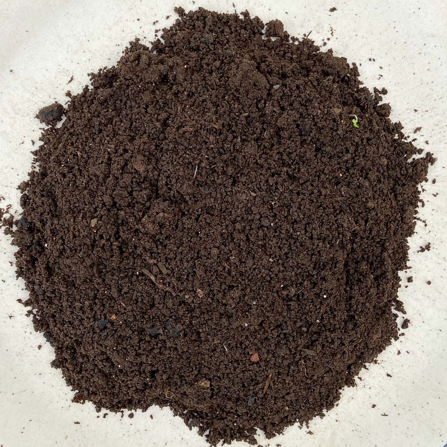 Vermicompost