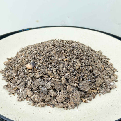 Castor Cake