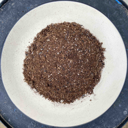 Peat Moss