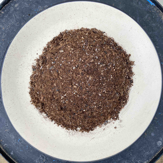 Peat Moss